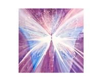 L'atelier dell'Anima